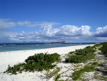 Plage de l'�le Plate