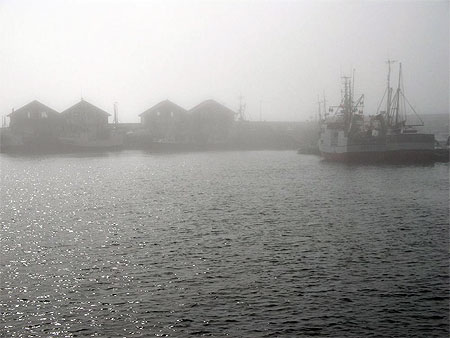 Brume