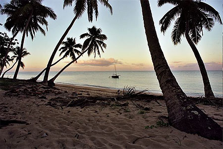 Plage au petit matin