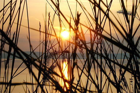 Coucher de soleil sur le Balaton