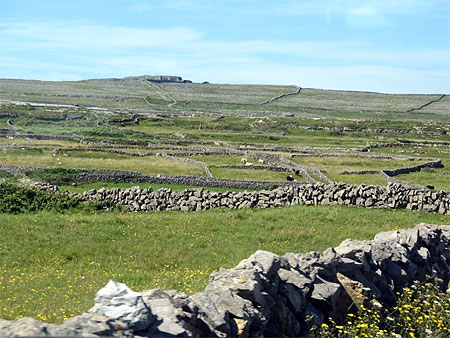Inishmore