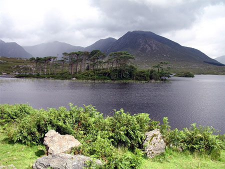 Lac
