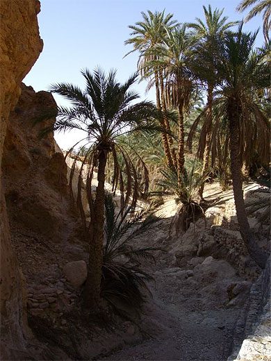 Oasis de montagne