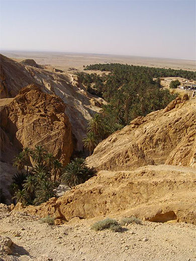 Oasis de montagne