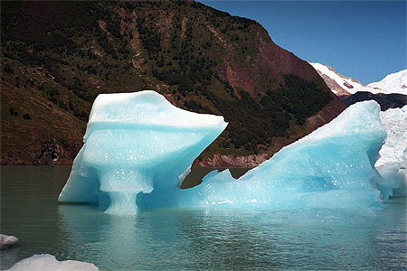 Iceberg