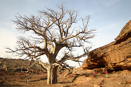 Pays Dogon