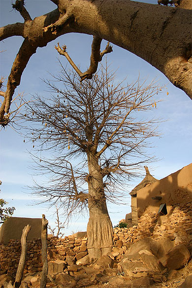 Pays Dogon