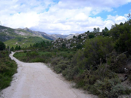Paysage pr�s d'Aullene
