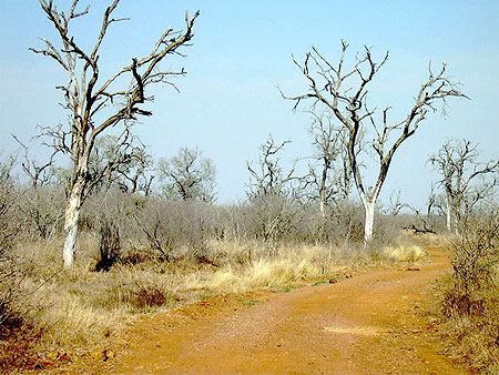 Paysage au Hlane Natural Park