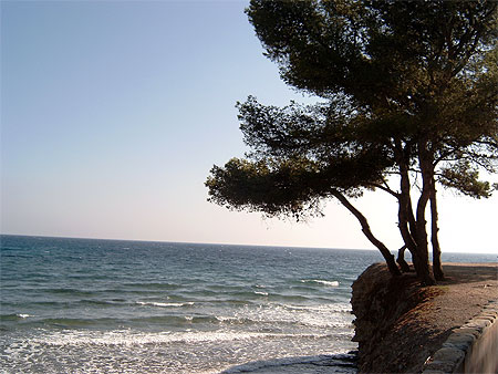 Coin de paradis