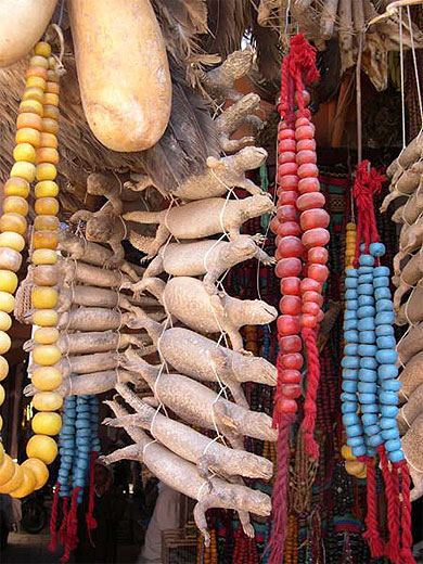 Souk des apothicaires - L�zards s�ch�s