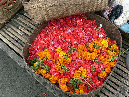 Des fleurs pour des offrandes