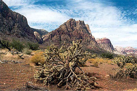 Red Rock Canyon