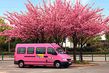 Un van qui a du pep's