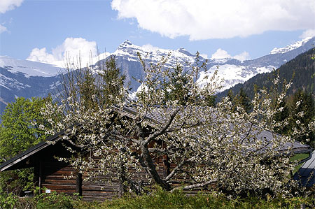 Chalet avec vue