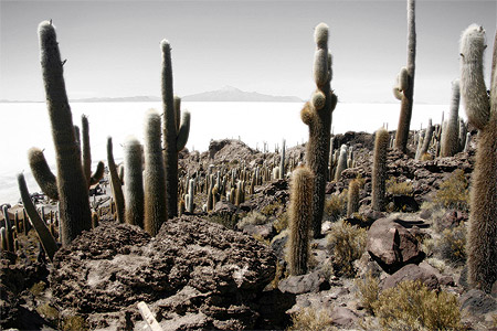 Isla de Pescadores