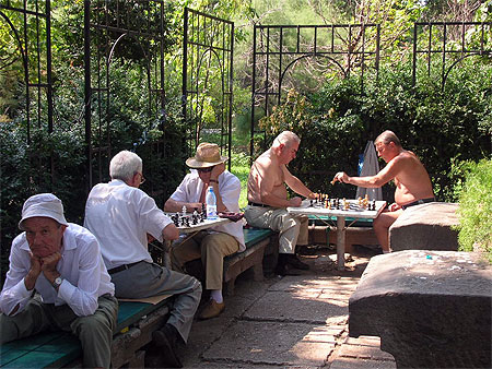 Joueurs d'�checs