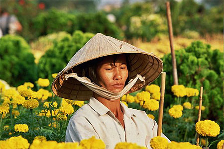 Une fleur parmi tant d'autres...