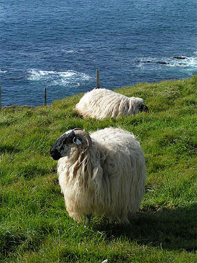 Dingle peninsula