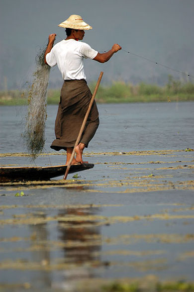 Un des nombreux p�cheurs du Lac Inle