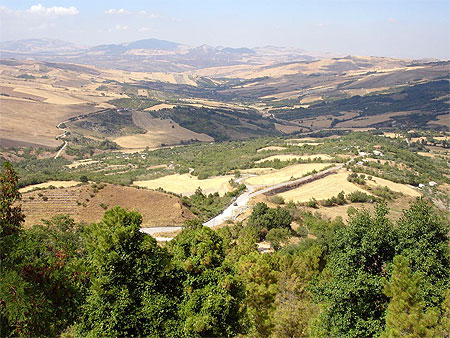 La vall�e de Bisaccia et ses vignes