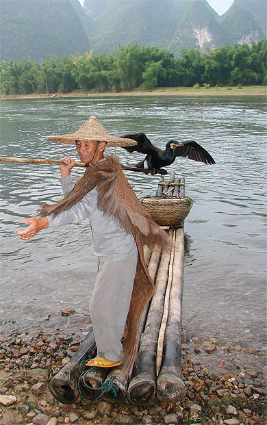 Cormoran
