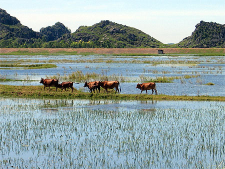 Vall�e de Ninh Binh