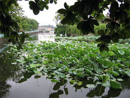 Le lac de l'Ouest � Hanoi
