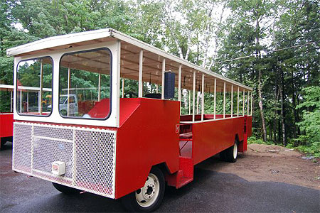 Bus