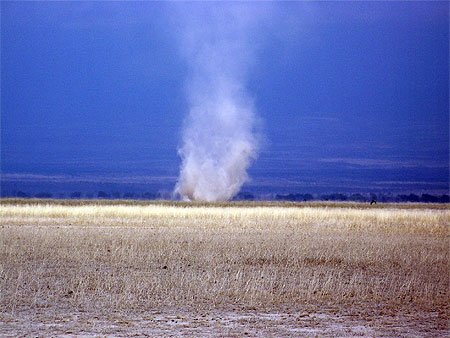 Tornade de sable � Amboseli
