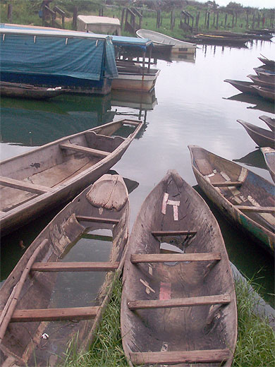 Barques