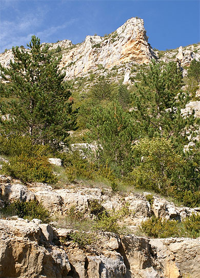 Chemin de ballade
