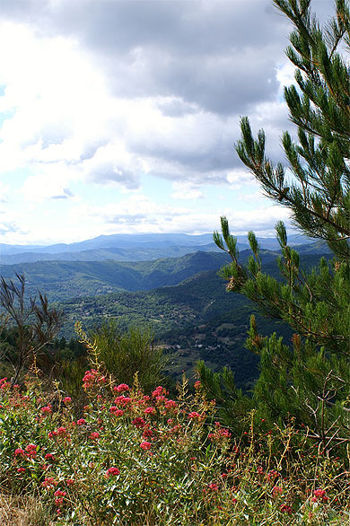 Les C�vennes