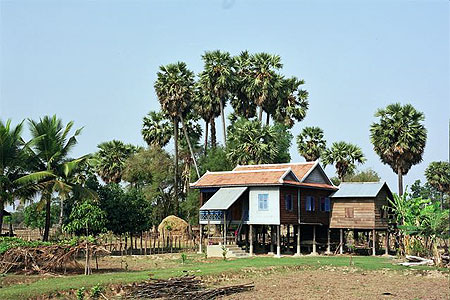 La maison Khmer et les palmiers � sucre