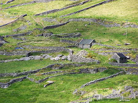 D�limitation de terrain