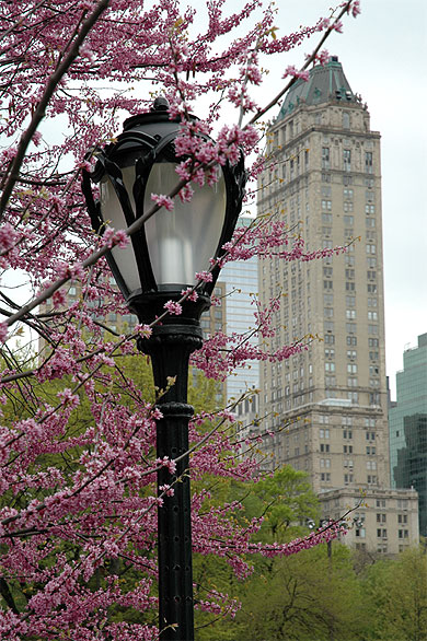 Printemps � Central Park