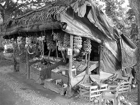 Marchand de fruits