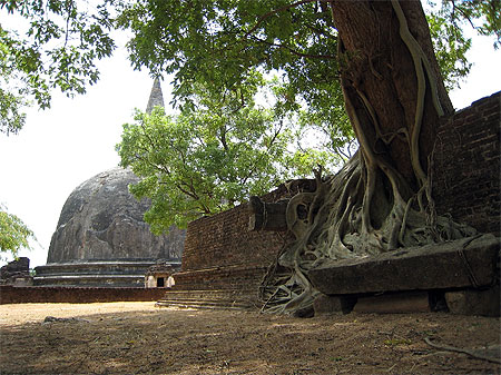 Anuradhapura
