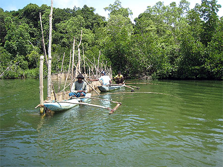 P�cheurs des mangroves (sud)