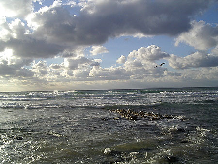 Lumi�res de Manche