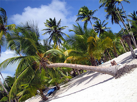 Plage de r�ve