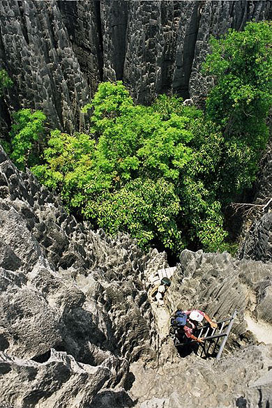Des a-pic vertigineux... dans les Tsingy