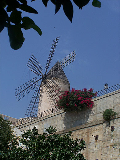 Moulin dans Palma