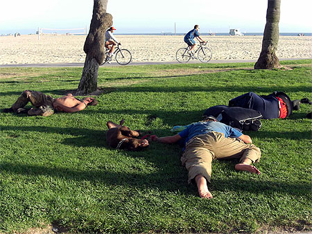 Le repos du Guerrier...
