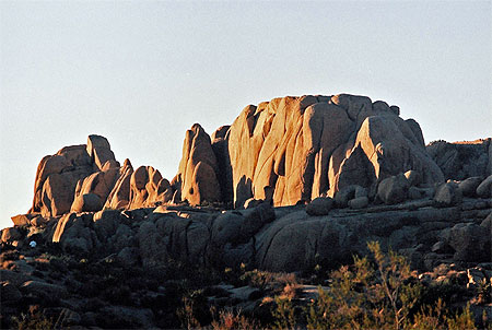 Joshua Tree National Park