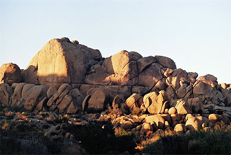 Joshua Tree National Park