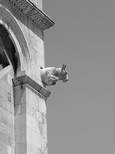 Firenze n'b