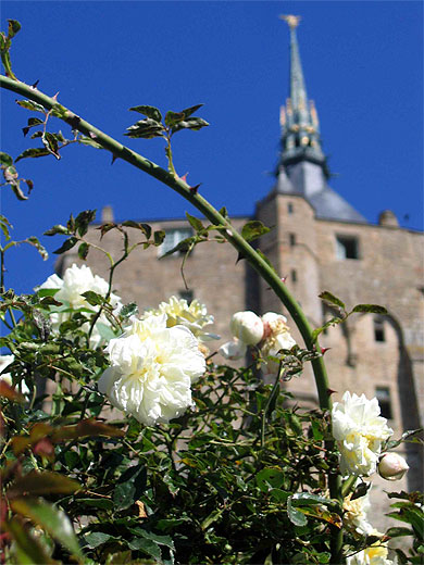 Vue de l'abbaye