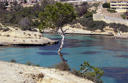 Criques aux eaux cristallines