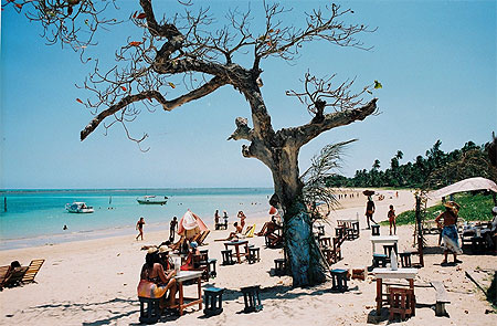Plages et palmeraies aux environs de Salvador de Bahia